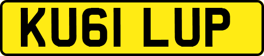 KU61LUP