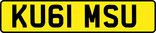 KU61MSU