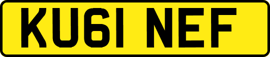 KU61NEF