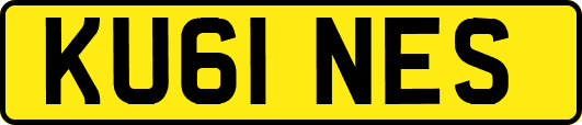 KU61NES