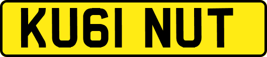 KU61NUT