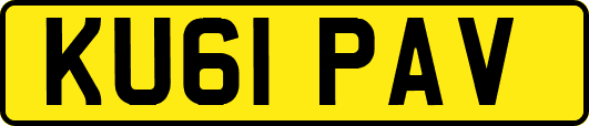 KU61PAV