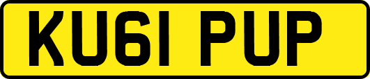 KU61PUP