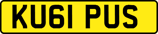 KU61PUS
