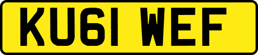 KU61WEF