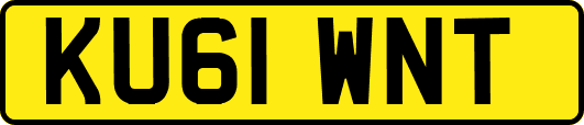KU61WNT