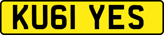 KU61YES