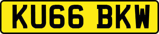 KU66BKW