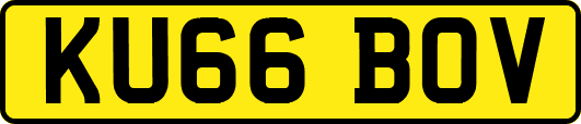 KU66BOV