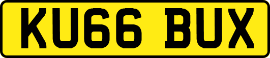 KU66BUX
