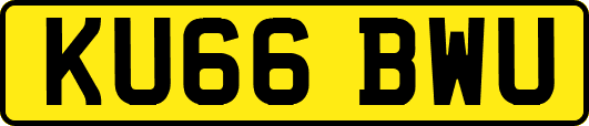 KU66BWU