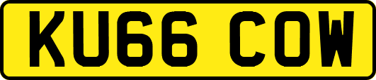 KU66COW