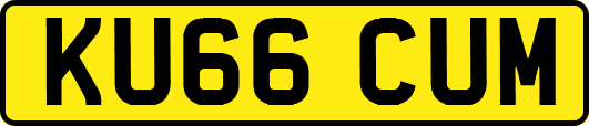 KU66CUM