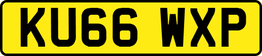 KU66WXP