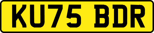 KU75BDR