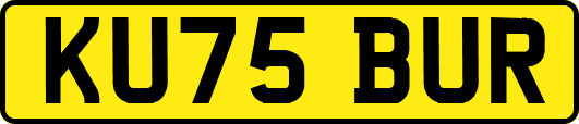 KU75BUR