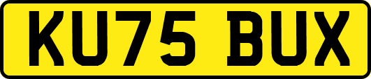 KU75BUX