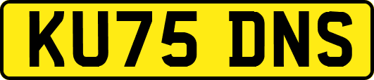 KU75DNS