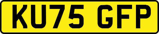 KU75GFP