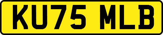 KU75MLB