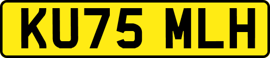 KU75MLH