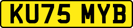 KU75MYB