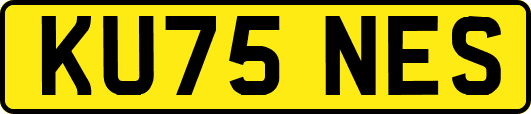 KU75NES