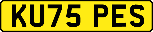 KU75PES
