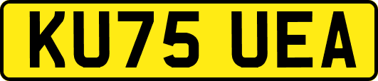 KU75UEA