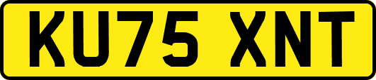 KU75XNT