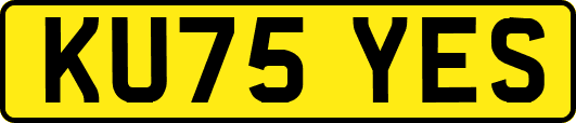 KU75YES