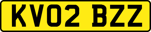 KV02BZZ