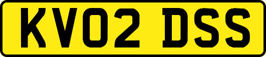 KV02DSS