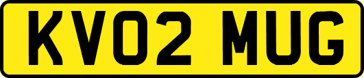 KV02MUG