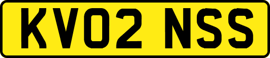 KV02NSS
