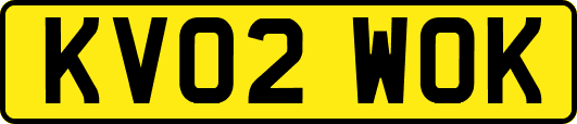 KV02WOK