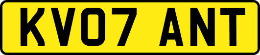 KV07ANT