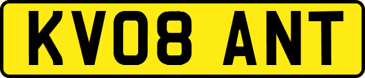 KV08ANT