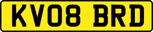 KV08BRD