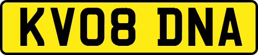 KV08DNA