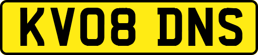KV08DNS