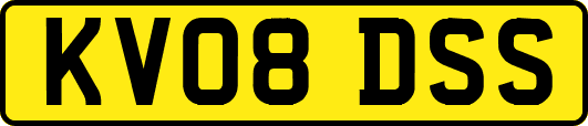 KV08DSS