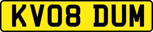 KV08DUM