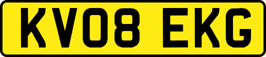 KV08EKG