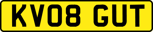 KV08GUT