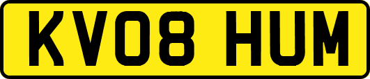 KV08HUM