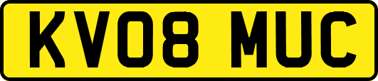 KV08MUC