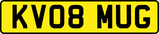 KV08MUG