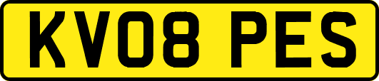 KV08PES