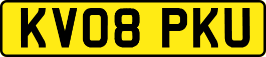 KV08PKU